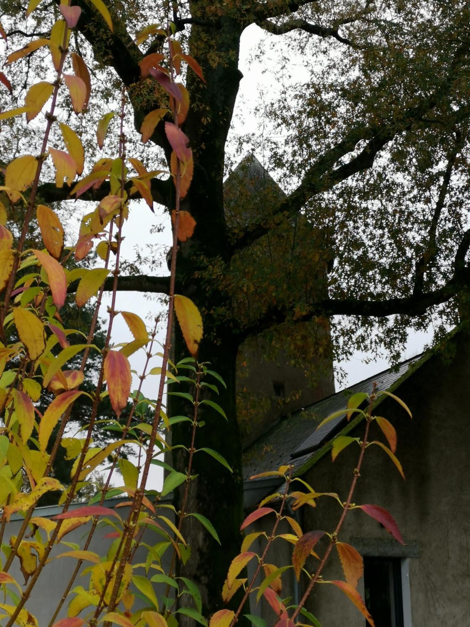 אורוואולט Le Moulin De La Retardiere מראה חיצוני תמונה