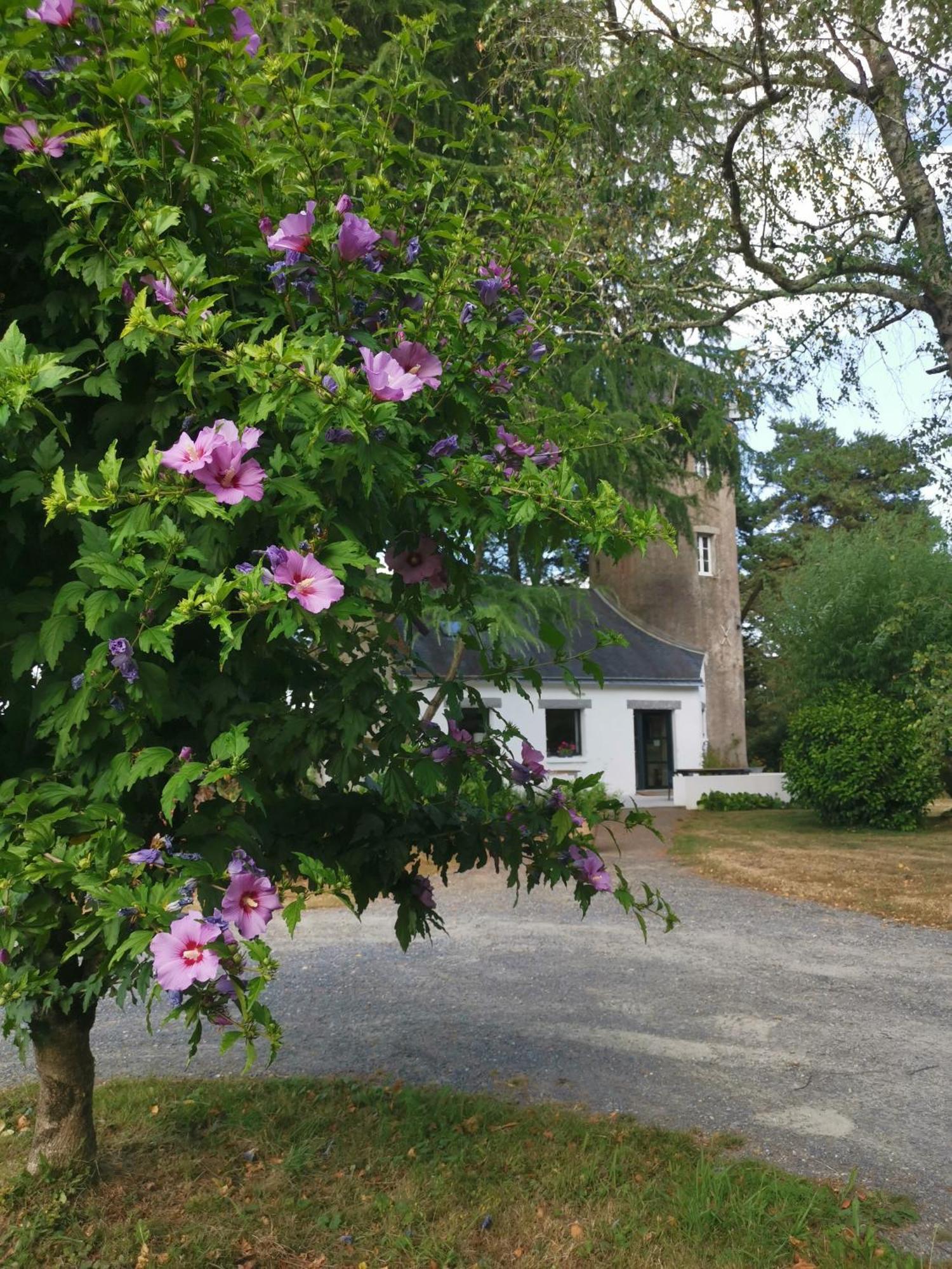אורוואולט Le Moulin De La Retardiere מראה חיצוני תמונה